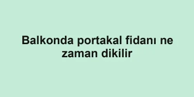 Balkonda portakal fidanı ne zaman dikilir