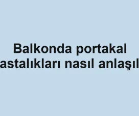 Balkonda portakal hastalıkları nasıl anlaşılır