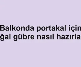 Balkonda portakal için doğal gübre nasıl hazırlanır