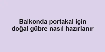 Balkonda portakal için doğal gübre nasıl hazırlanır