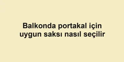 Balkonda portakal için uygun saksı nasıl seçilir