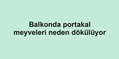 Balkonda portakal meyveleri neden dökülüyor