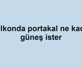 Balkonda portakal ne kadar güneş ister
