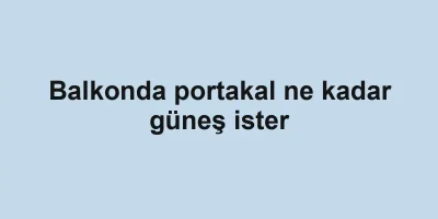 Balkonda portakal ne kadar güneş ister