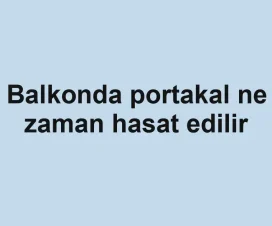 Balkonda portakal ne zaman hasat edilir