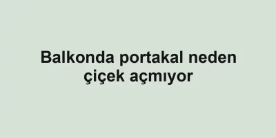 Balkonda portakal neden çiçek açmıyor