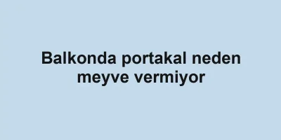 Balkonda portakal neden meyve vermiyor