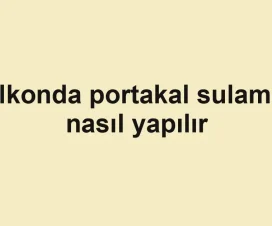 Balkonda portakal sulaması nasıl yapılır
