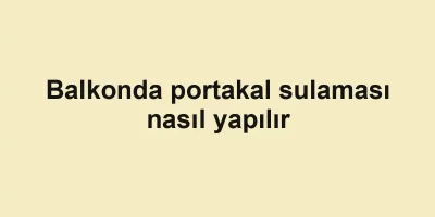 Balkonda portakal sulaması nasıl yapılır