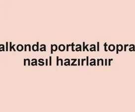 Balkonda portakal toprağı nasıl hazırlanır