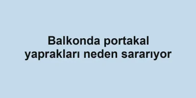 Balkonda portakal yaprakları neden sararıyor