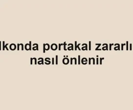 Balkonda portakal zararlıları nasıl önlenir