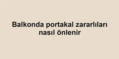 Balkonda portakal zararlıları nasıl önlenir