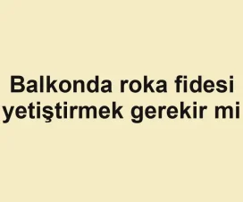 Balkonda roka fidesi yetiştirmek gerekir mi