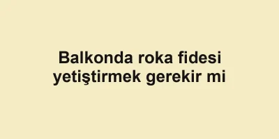 Balkonda roka fidesi yetiştirmek gerekir mi