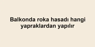 Balkonda roka hasadı hangi yapraklardan yapılır