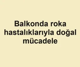 Balkonda roka hastalıklarıyla doğal mücadele