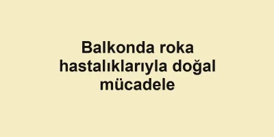 Balkonda roka hastalıklarıyla doğal mücadele
