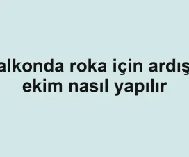 Balkonda roka için ardışık ekim nasıl yapılır