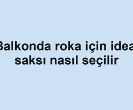 Balkonda roka için ideal saksı nasıl seçilir