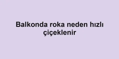 Balkonda roka neden hızlı çiçeklenir