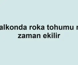 Balkonda roka tohumu ne zaman ekilir