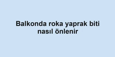 Balkonda roka yaprak biti nasıl önlenir