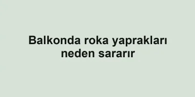 Balkonda roka yaprakları neden sararır
