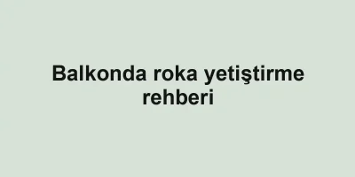 Balkonda roka yetiştirme rehberi