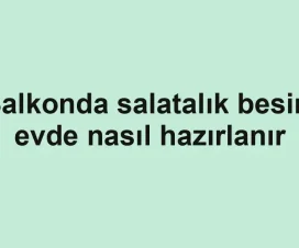 Balkonda salatalık besini evde nasıl hazırlanır