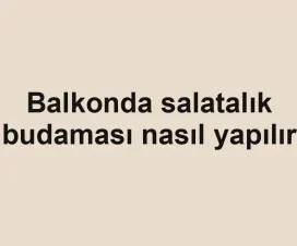 Balkonda salatalık budaması nasıl yapılır
