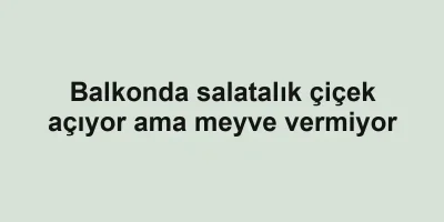 Balkonda salatalık çiçek açıyor ama meyve vermiyor