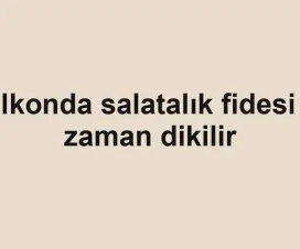 Balkonda salatalık fidesi ne zaman dikilir