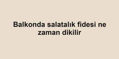 Balkonda salatalık fidesi ne zaman dikilir