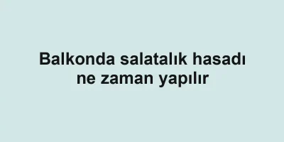 Balkonda salatalık hasadı ne zaman yapılır