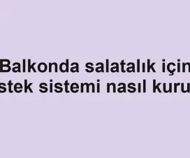 Balkonda salatalık için destek sistemi nasıl kurulur