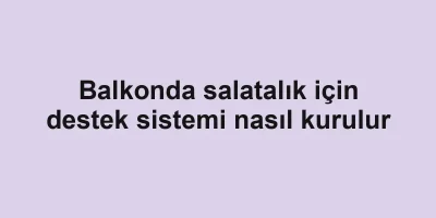 Balkonda salatalık için destek sistemi nasıl kurulur