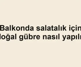 Balkonda salatalık için doğal gübre nasıl yapılır