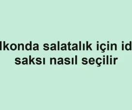 Balkonda salatalık için ideal saksı nasıl seçilir