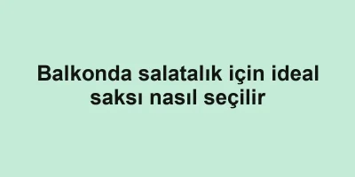 Balkonda salatalık için ideal saksı nasıl seçilir
