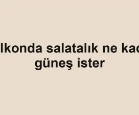 Balkonda salatalık ne kadar güneş ister