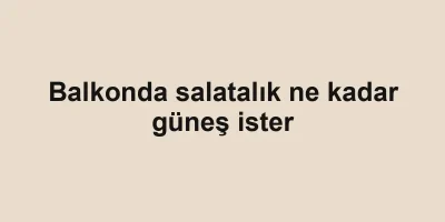 Balkonda salatalık ne kadar güneş ister
