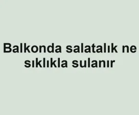 Balkonda salatalık ne sıklıkla sulanır