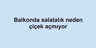Balkonda salatalık neden çiçek açmıyor