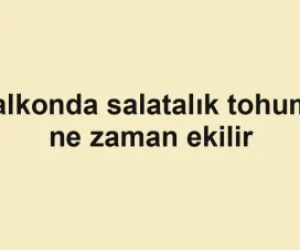 Balkonda salatalık tohumu ne zaman ekilir