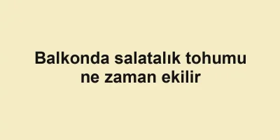 Balkonda salatalık tohumu ne zaman ekilir