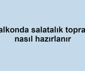 Balkonda salatalık toprağı nasıl hazırlanır