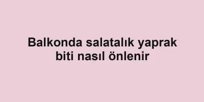 Balkonda salatalık yaprak biti nasıl önlenir