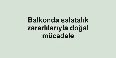 Balkonda salatalık zararlılarıyla doğal mücadele