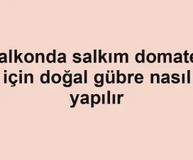 Balkonda salkım domates için doğal gübre nasıl yapılır